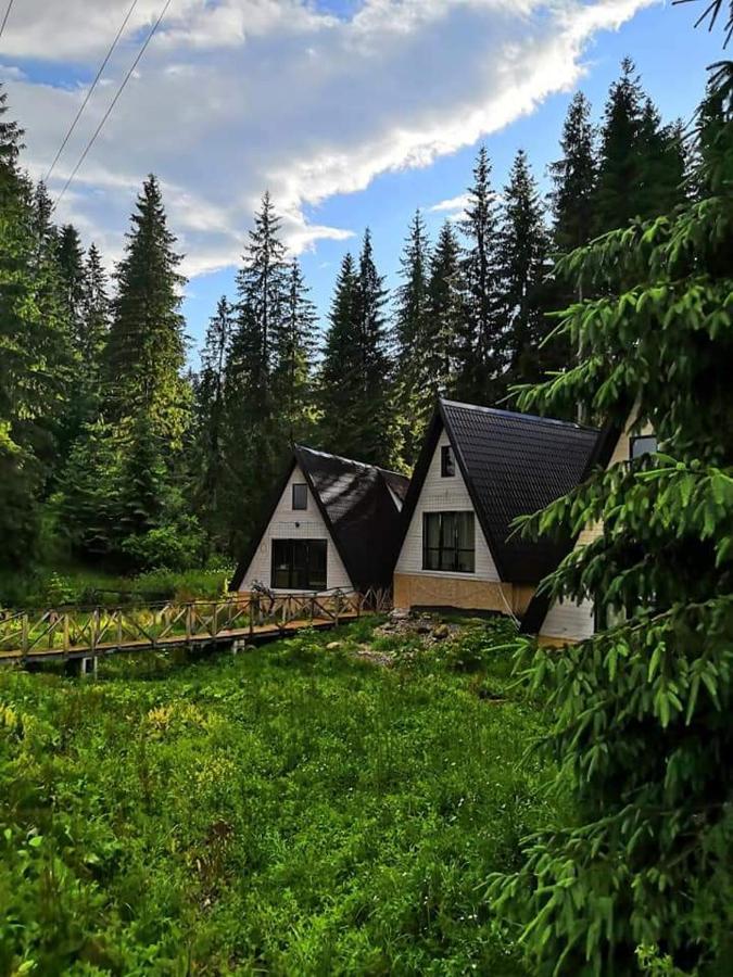 Alpiyske Shale Villa Yablunytsia Buitenkant foto