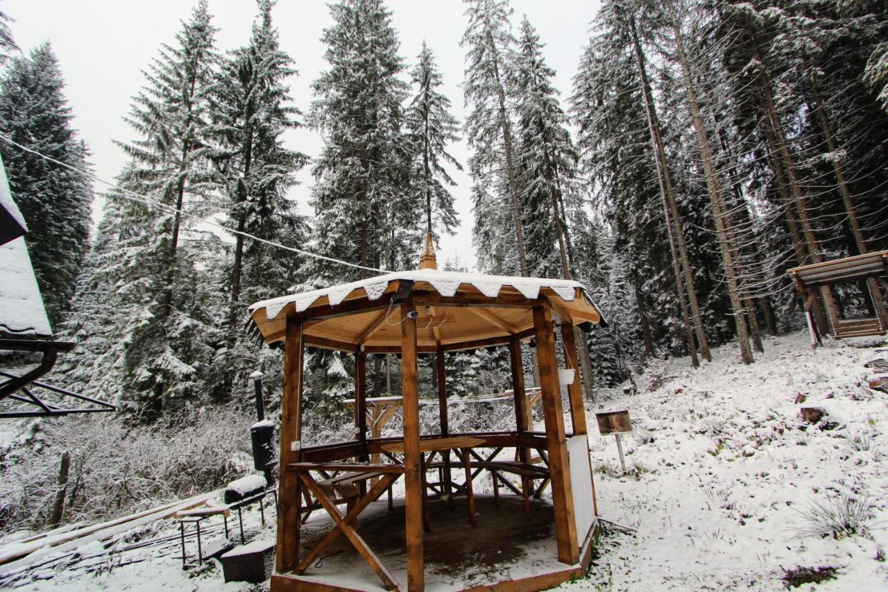 Alpiyske Shale Villa Yablunytsia Buitenkant foto