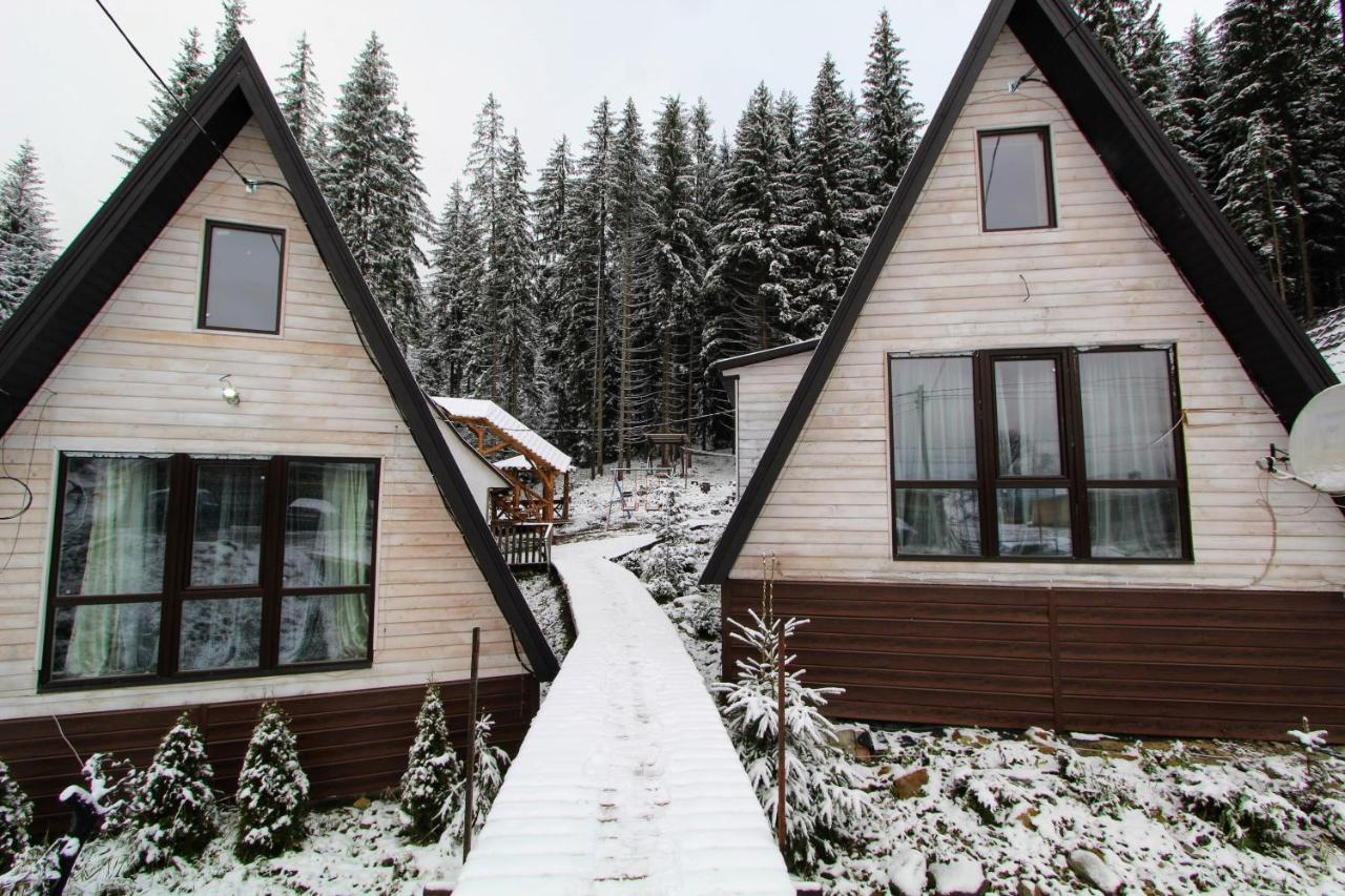 Alpiyske Shale Villa Yablunytsia Buitenkant foto