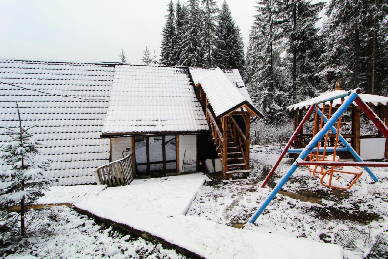 Alpiyske Shale Villa Yablunytsia Buitenkant foto