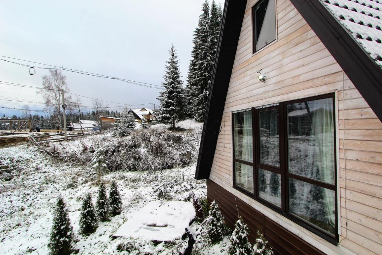 Alpiyske Shale Villa Yablunytsia Buitenkant foto