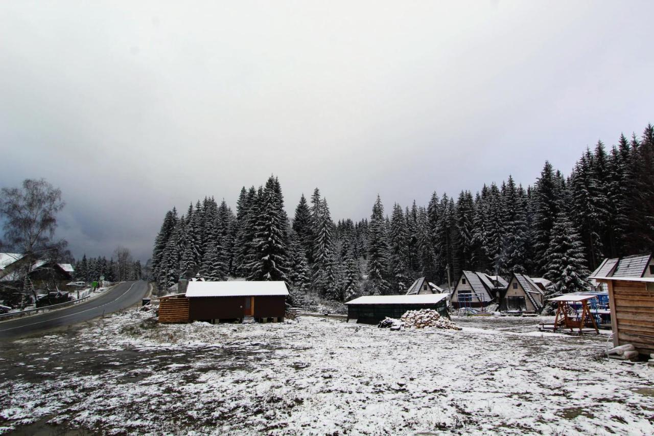 Alpiyske Shale Villa Yablunytsia Buitenkant foto